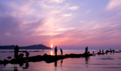 论文绪言部分查重吗