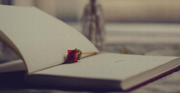 半月刊和月刊有什么区别