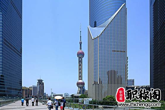 评正高级职称第几主编有用