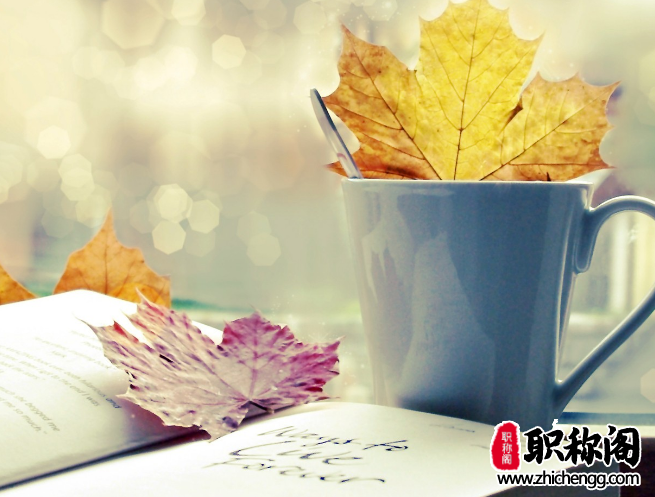 什么是增刊,专刊,特刊