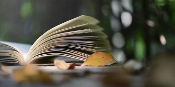 论文指标是什么意思