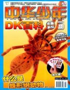 中华少年是什么级别