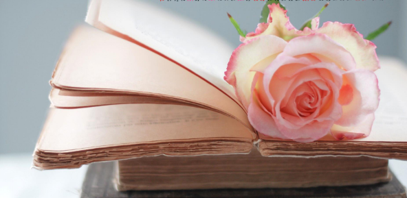 半月刊杂志哪些比较好发表