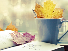 sci论文可以删除作者吗