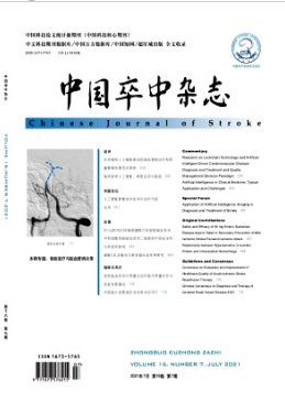 中国卒中杂志是双核吗