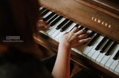 副刊与正刊区别