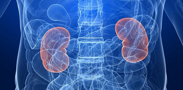 泌尿内科杂志有哪些