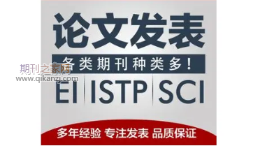 核心论文发表