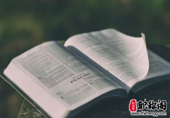 论文引言是一级标题吗