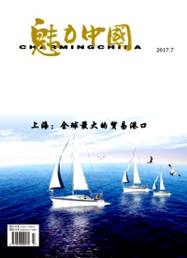 魅力中国杂志是什么级别期刊