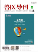 兽医导刊评什么级别职称