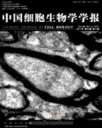 细胞相关的期刊有哪些