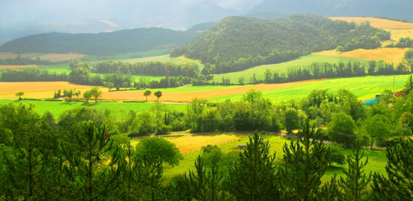 有关生态学方面的期刊有哪些