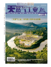 天然气工业