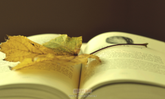 职称评定的业绩成果有哪些