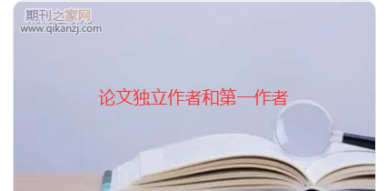 论文独立作者第一作者
