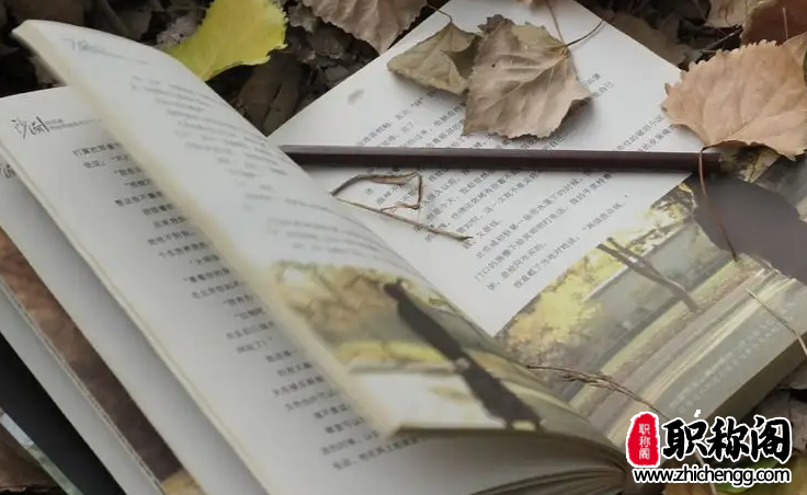 档案管理员初级职称申报条件