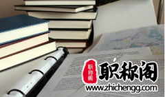 国际书号可以评职称用吗