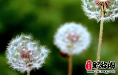 国际专著评职称认可吗