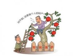 专利实质审查分为哪些种类