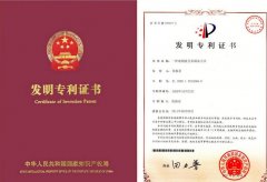 专利实质审查程序有哪些原则