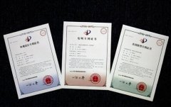 2017年专利文献号有哪些形式