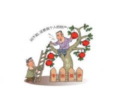 什么是发明型专利临时保护制度