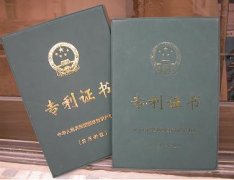 专利文献有何作用