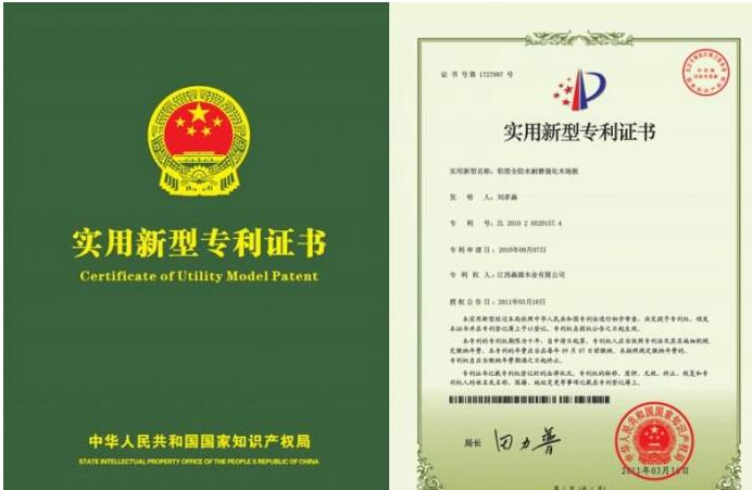 实用型专利对审查阶段有哪些规定