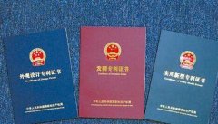 专利在什么时候开始备案