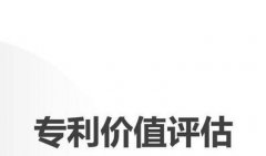 如何进行专利评估事项