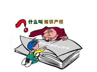 共有专利权有着与有形的共有财产有哪些不同特点