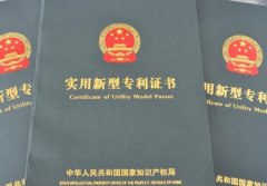水利工程师中的实用新型专利有哪些特点