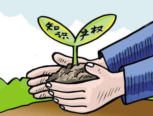 2017年专利侵权行为最新解读