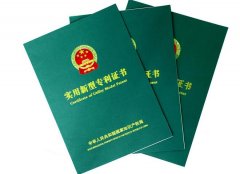 国内实用新型专利检索方式有哪些