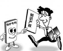 实用新型专利不包括哪些