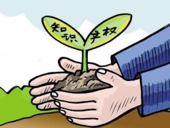 实用新型专利权利书如何撰写