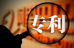 国家实用新型专利申请书范文