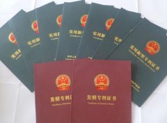 实用新型专利批准程序要求
