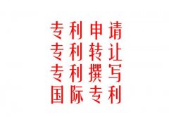 国内专利查询事项
