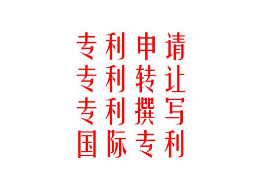 国内专利查询事项