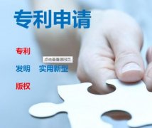 浙江省专利示范企业申报程序范例