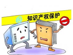 专利保护范围的确定原则