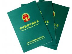 实用新型专利有哪些现象