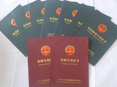 专利权最新保护措施条例