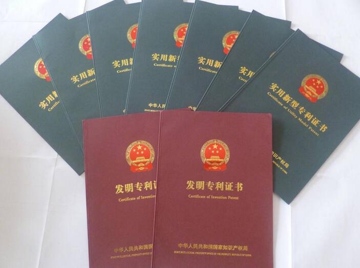 专利权最新保护措施条例