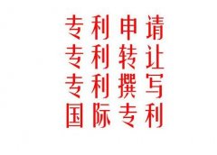 分析国际专利表原则