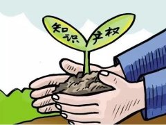 实用新型专利优先权主要体现在哪些方面