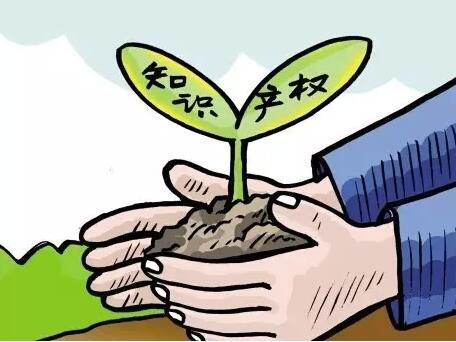 实用新型专利优先权主要体现在哪些方面