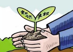 专利申请书撰写方式